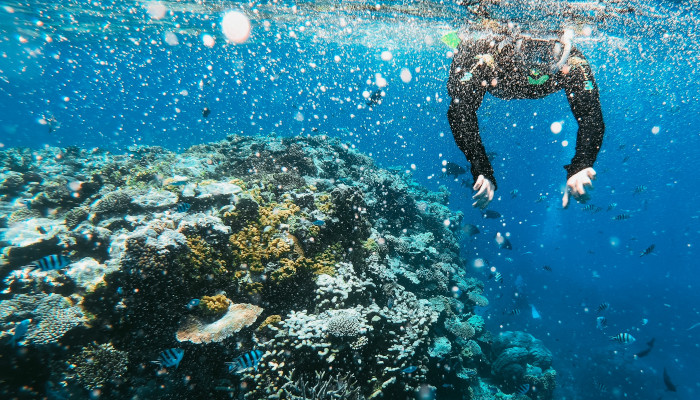 A Traveller’s Guide To The Seven Wonders Of The Underwater World ...